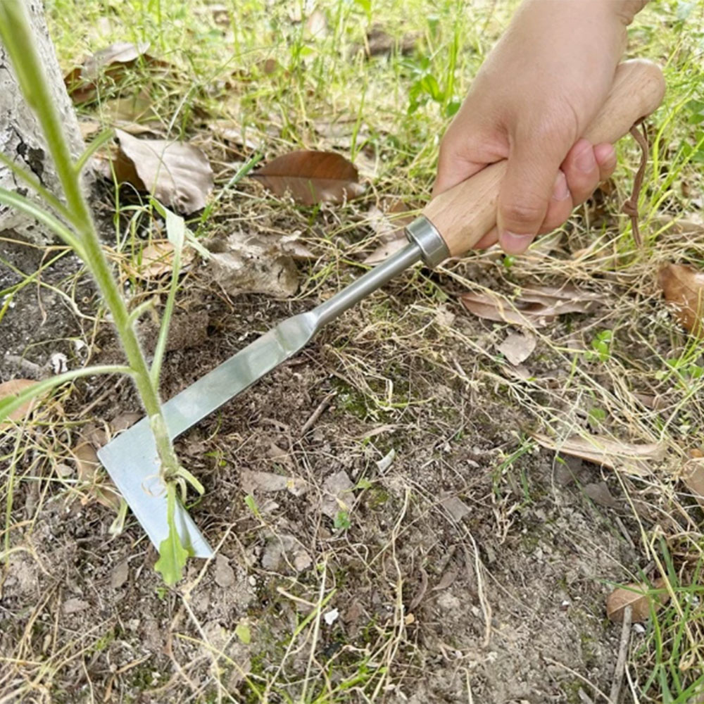 Stainless Steel Gap Weeding To - Gardening Hand Tools Yard recensie en prijs