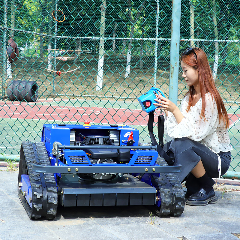 Customized High Power Remote C - Gardening Tools Lawn Mower recensie en prijs