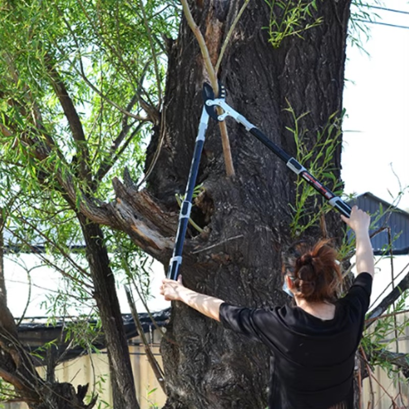 High carbon steel, garden long - Gardening Hand Tools Japanese recensie en prijs