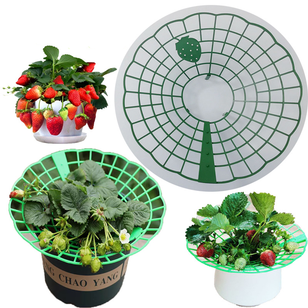 20PCS Strawberry Stand Green C - Gardening Tools Holder recensie en prijs