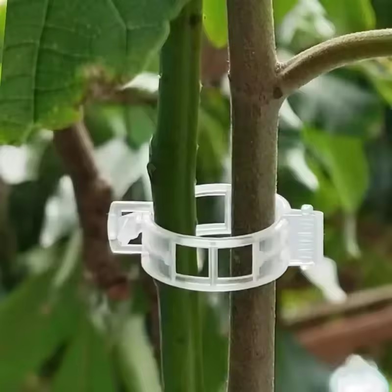 500/50PCS Plant Support Clips  - Gardening Tools Holder recensie en prijs