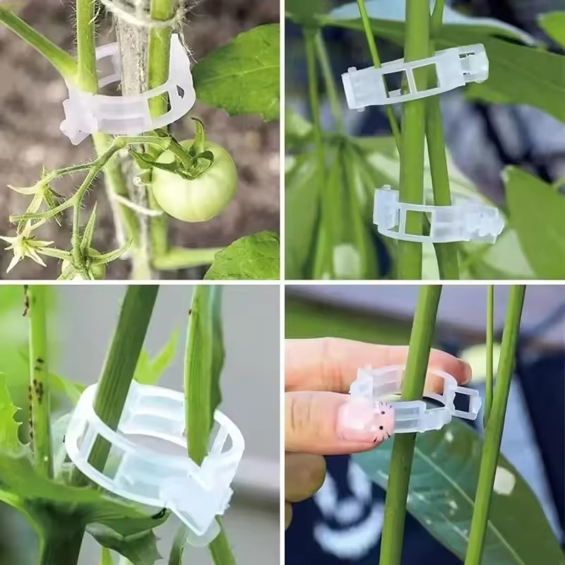500/50PCS Plant Support Clips  - Gardening Tools Holder recensie en prijs