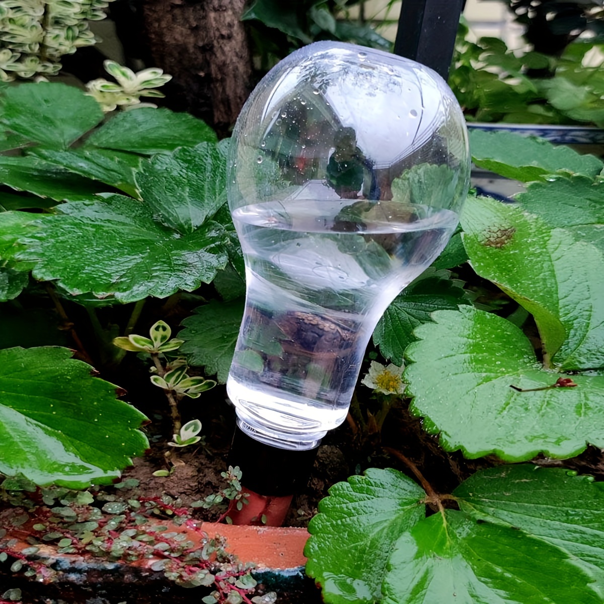 Garden Automatic Watering Tool - Gardening Tools Diy recensie en prijs