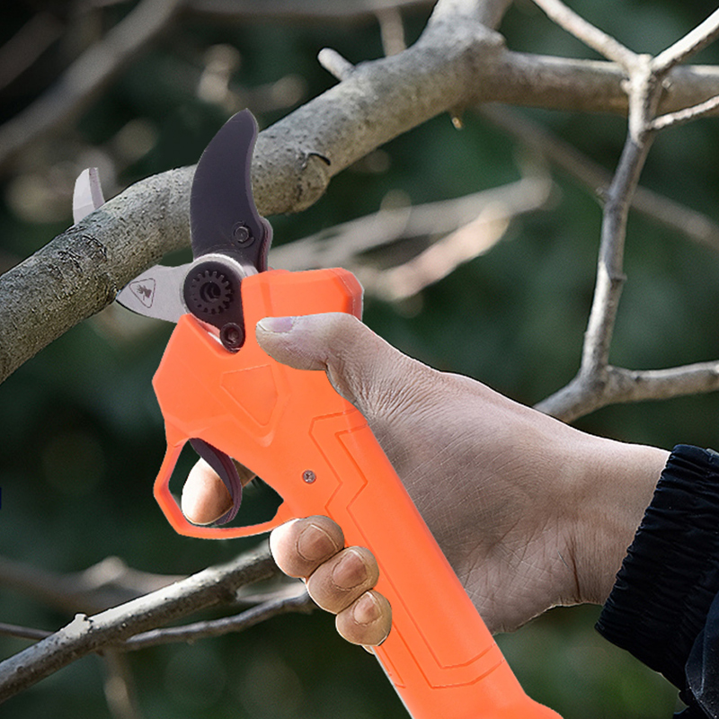 Hot Sale 42V Bodypack Electric - Gardening Tools For Sale recensie en prijs