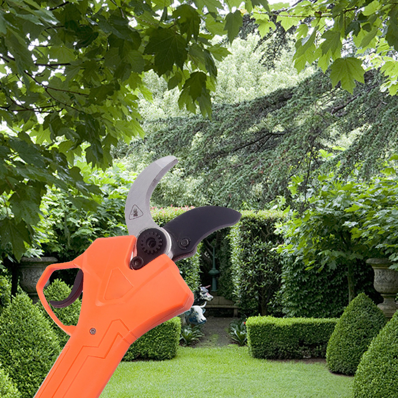 Hot Sale 42V Bodypack Electric - Gardening Tools For Sale recensie en prijs