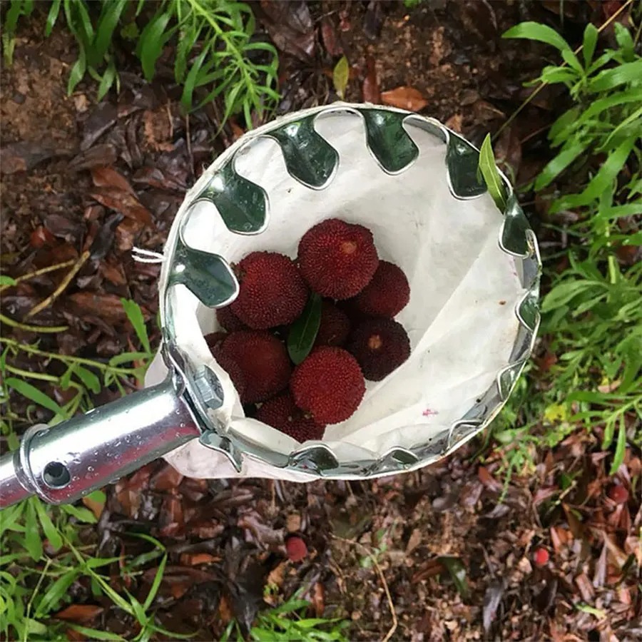 3-in-1 Fruit Harvesting Tool S - Gardening Tools Bundle recensie en prijs