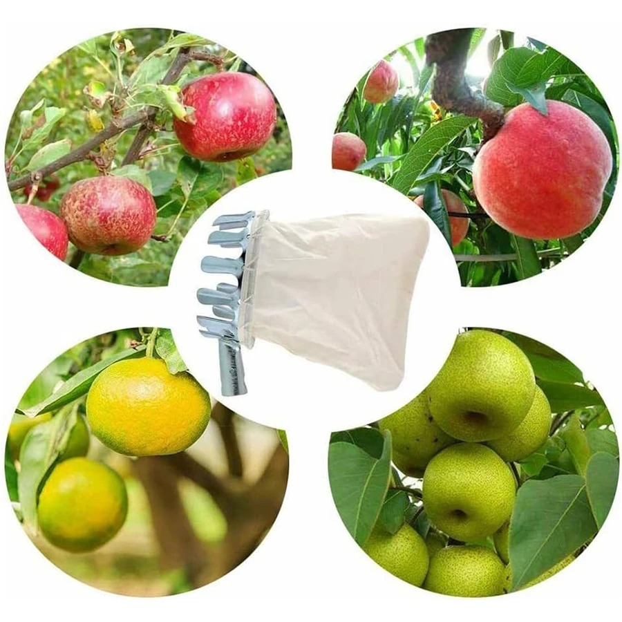 3-in-1 Fruit Harvesting Tool S - Gardening Tools Bundle recensie en prijs