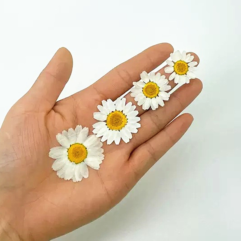 100Pcs Natural White Crystal C - Gardening Tools Diy recensie en prijs