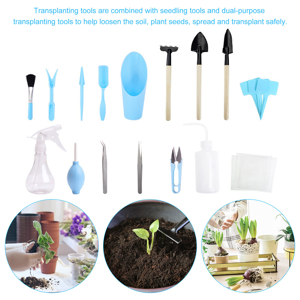 Easy To Clean Garden Succulent - Gardening Tools Pink recensie en prijs