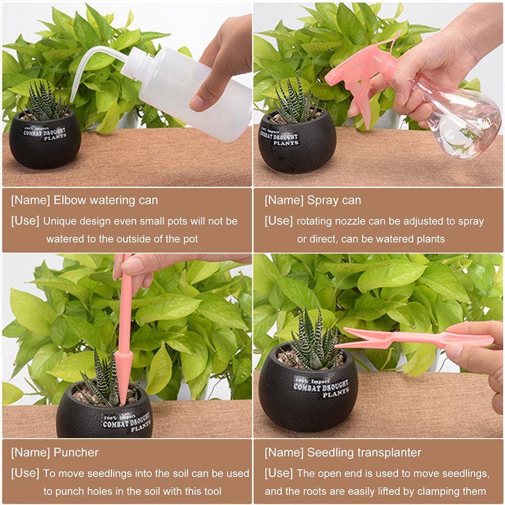 Easy To Clean Garden Succulent - Gardening Tools Pink recensie en prijs