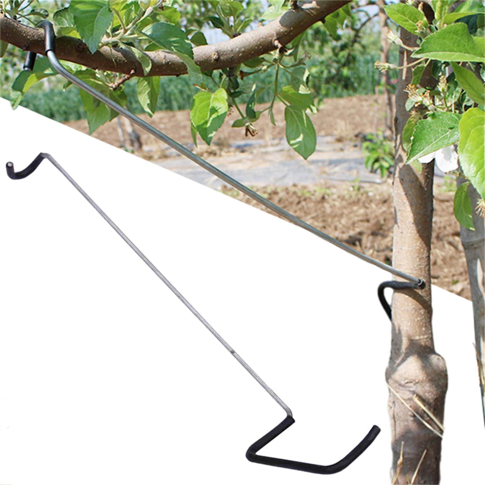 Fruit Tree Branch Spreader 10P - Gardening Tools Bundle recensie en prijs