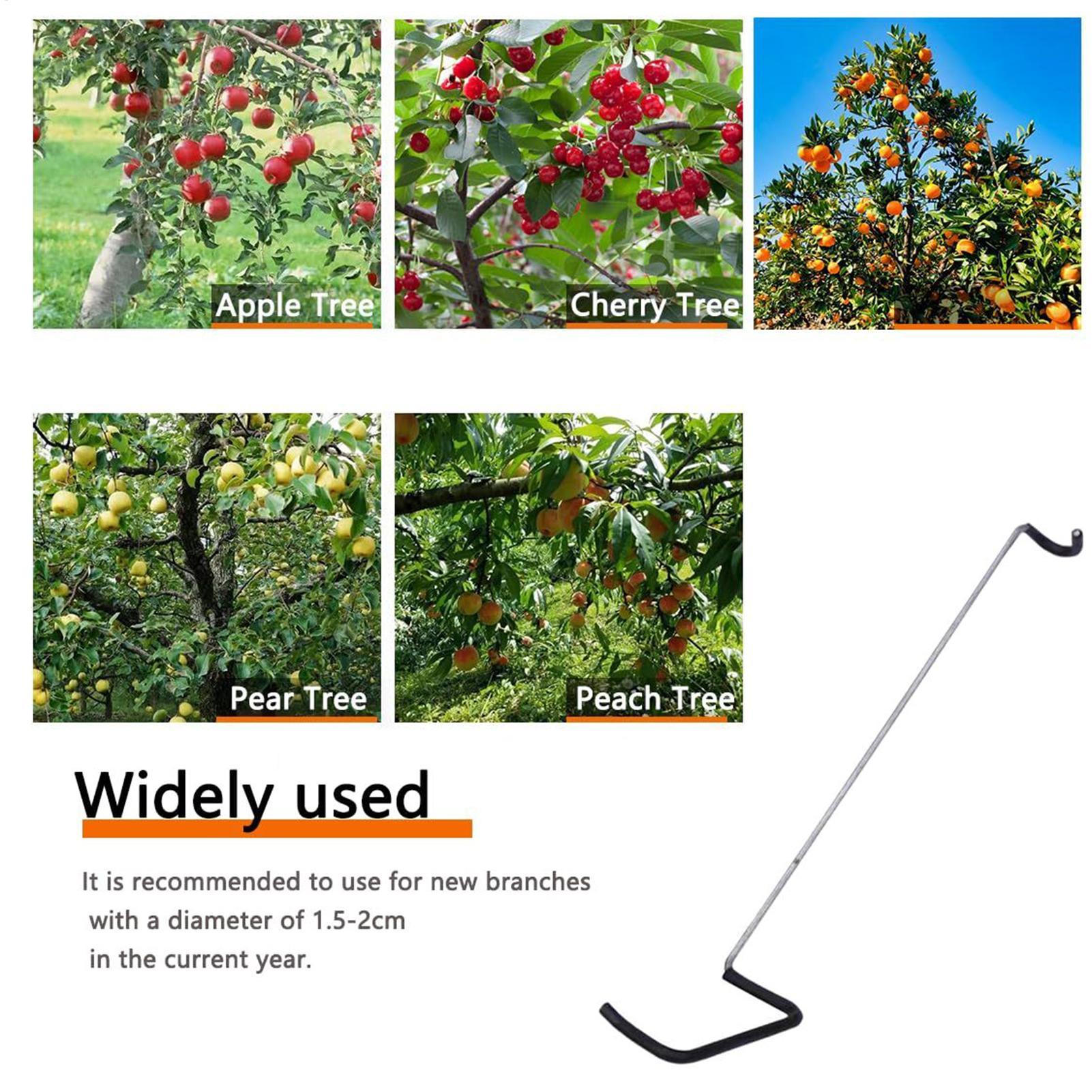 Fruit Tree Branch Spreader 10P - Gardening Tools Bundle recensie en prijs