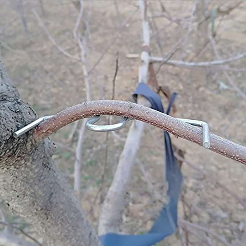 30pcs/set Fruit Tree Branch Pu - Gardening Tools Bundle recensie en prijs