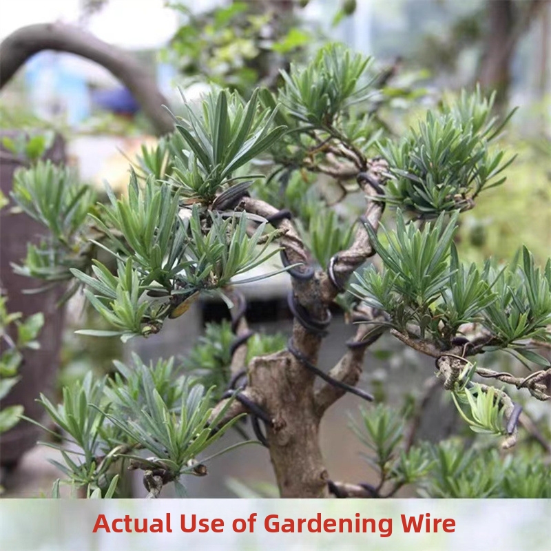 1.5MM Bonsai Wires Aluminum Bo - Gardening Tools Diy recensie en prijs