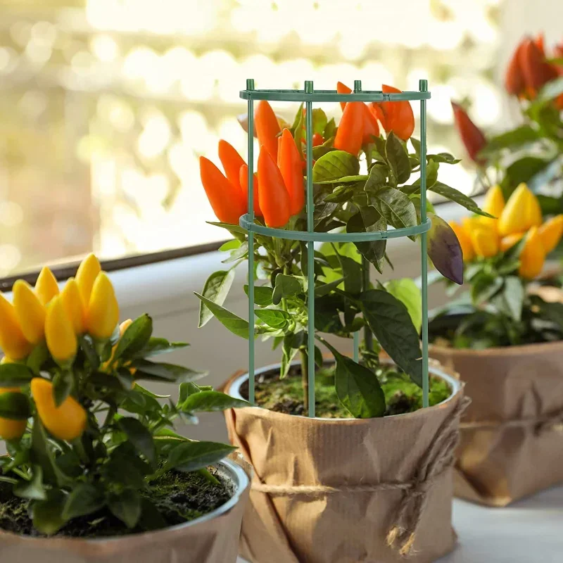 Plastic Plant Support Pile Sta - Gardening Tools Holder recensie en prijs