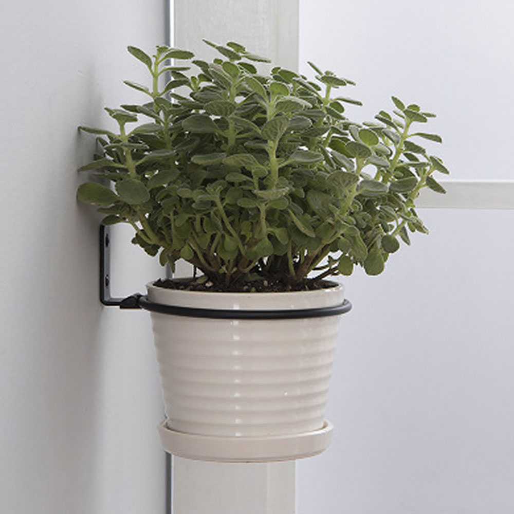 Flower Pot Trays Wall Mounted  - Gardening Tools Holder recensie en prijs