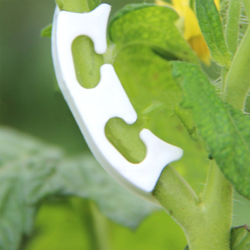 50/100pcs Botany-stem Vine Str - Gardening Tools Holder recensie en prijs