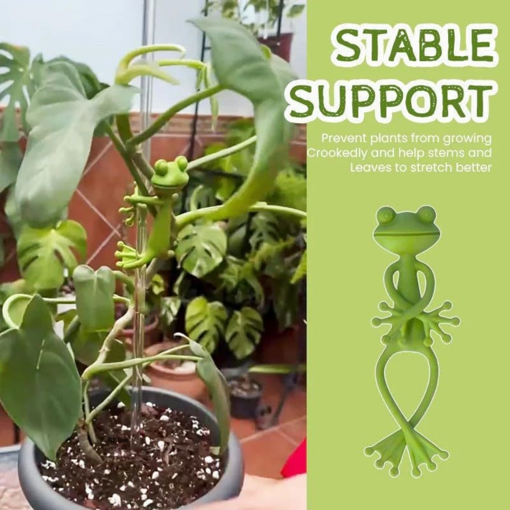 Tomato Plant Support Stake for - Gardening Tools Holder recensie en prijs