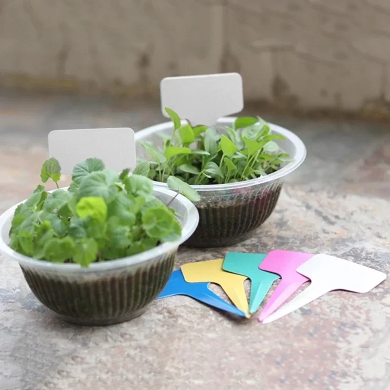 20 Pcs Plastic Waterproof Plan - Gardening Tools Names recensie en prijs
